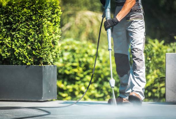 Best Gutter Cleaning  in Little River Academy, TX