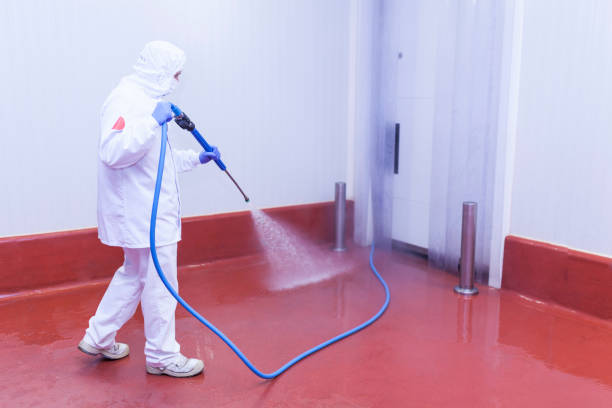 Boat and Dock Cleaning in Little River Academy, TX