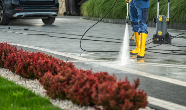 Best Roof Washing  in Little River Academy, TX